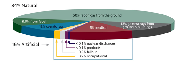 Ionising Radiation Dose